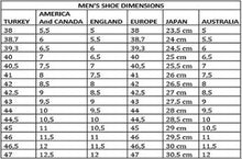 Load image into Gallery viewer, Men Leather Sandal